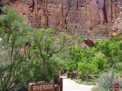 Zion National Park(4)：Riverside Walk,Temple Sinawava