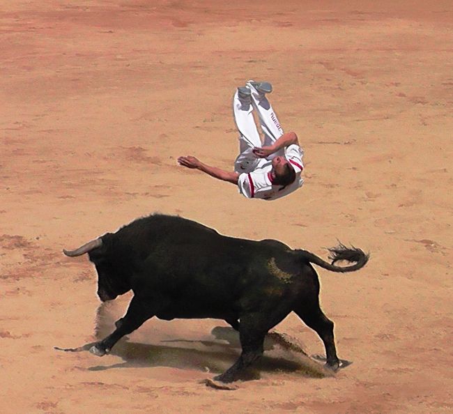 パンプローナ Pamplona ラ フィエスタ 怒涛の如く盛り上がるサン フェルミン 牛追い祭り パンプローナ スペイン の旅行記 ブログ By Raindanceさん フォートラベル パンプローナ Pamplona ラ フィエスタ 怒涛の如く盛り上がるサン フェルミン 牛追い祭り パンプローナ スペイン の旅行記 ブログ By Raindanceさん フォートラベル