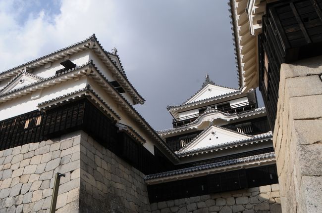 二の丸城址公園を見学した後、黒門口登城道をあがって松山城の天守閣に向かいました。大手門跡まで来るとうっそうとした樹林の道が一気に開けて、松山の町並みを眼下に眺めることができます。城内には敵の侵入を妨げるために門がたくさんあるのですが、その門をくぐる度に景色が開けてきます。<br />太鼓門をくぐると本丸が目の前に見えます。本丸からの松山の展望を堪能した後は、東雲口登城道に沿ってかかるリフトで下りました。<br />東雲口ロープウェイ乗り場にある「坂の上の雲ドラマ館」を見学後、萬翠荘（ばんすいそう）県立美術館分館に行きました。<br />更に、萬翠荘前にある坂の上の雲ミュージーアム、大街道をまわって、伊予鉄道の路面電車で道後温泉に帰りました。<br />「坂の上の雲」どっぷりの一日でした。松山の市内は坂の上の雲一色といった感じなのに、秋山兄弟が東京で下宿した市ヶ谷界隈は東郷平八郎の屋敷跡も普通の児童公園だったりと、観光地化まったくされていないのが好対照です。<br />