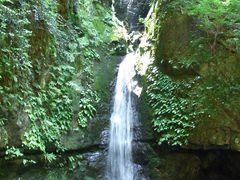 御岳山日帰りハイク