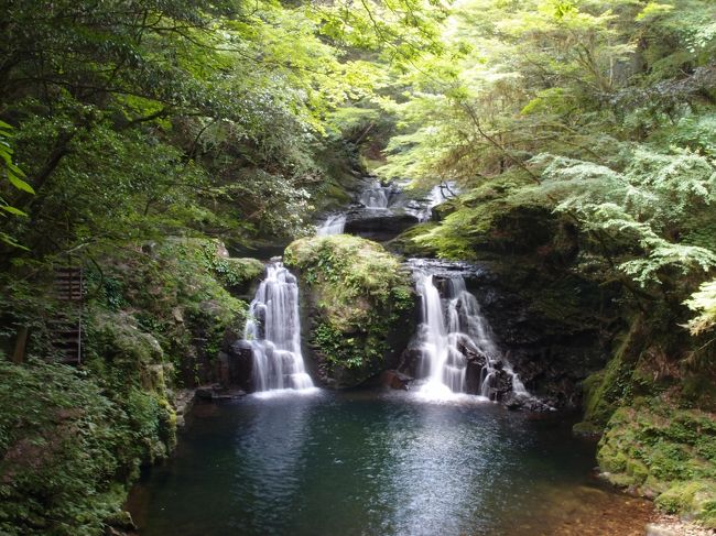 涼を求めて、久しぶりに赤目四十八滝に行ってきました。<br /><br />日頃の運動不足のためか、涼しいはずなのに歩き出してすぐにシャツは汗でびっしょり。<br /><br />帰りは奈良県曽爾村の温泉「お亀の湯」にも寄ってきました。<br />