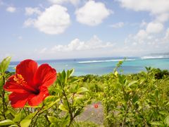 石垣島旅行～ 竹富島、西表島