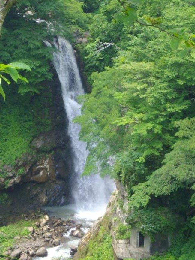 戸隠神社でパワーをもらった後は本日のお宿、新潟県妙高市の関温泉へ。<br />小さな温泉街でゆっくりまったり。<br />と言うか、たくさん歩いて汗をかいたから、もうぐったり。<br />食後は一気に夢の中へ・・<br />翌日は楽しみにしていた滝巡りへＧｏ！<br />宿のご主人からガイドブックには載っていなかった「不動滝」を教えてもらいました。<br />不動滝ではもの凄く自然のパワーをもらえました。<br /><br />あまりにも写真が多かったので、妙高は２冊に。<br />まずはお宿と惣滝、そして不動滝です。<br />前日、戸隠神社でたくさん歩いた筋肉痛の足で、またひたすら坂道を登ってきました。