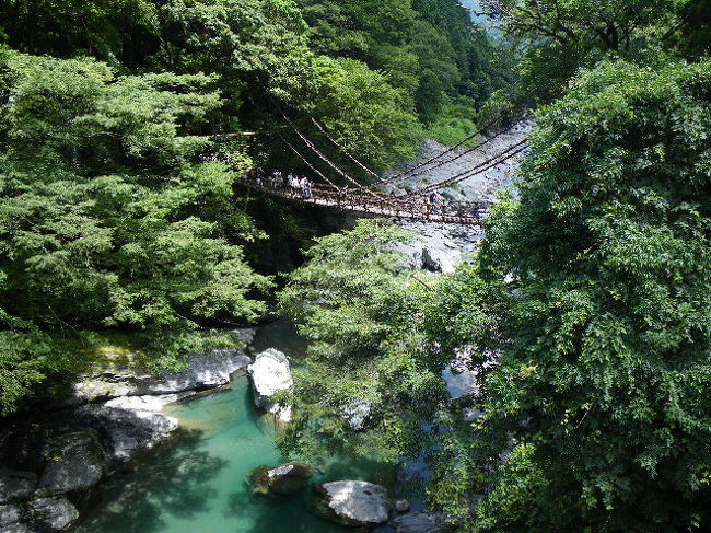 2011年7月16日ー18日。平家一族の哀話を秘める祖谷(いや)にある「かずら橋」。。。昔は大切な生活道として、数箇所にかけられていたそうですが、今は2箇所だけ。。。観光客で賑わうのはここの「かずら橋」です。自生の「シラクチカズラ」で編み重ねて作られている、長さ45m、幅2mの橋で、水面上14mだそうです。3年ごとに新しくされるそうですが、揺れるだけでなく、握るところも手が滑ってスリル満点!!冷や汗をかいた後は、近くの「琵琶滝」の涼しい風と「吉野川」の冷たい水で、体を冷やしました。