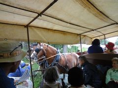 スイス花とハイキングの旅・ポントレジーナ馬車の旅