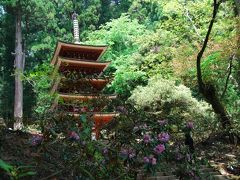 2011『初夏の奈良大和路』　① 「室生寺を再訪」