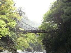 祖谷かずら橋・奥祖谷二重かずら橋　一人ドライブ　（２０１１年５月）