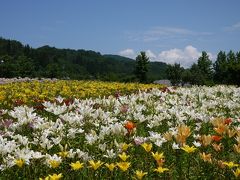 ２年ぶりのゆり園