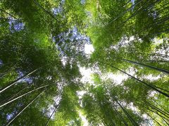 京都を歩く(97)　嵐山～思い出に残る夏に出会う～