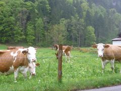 訳あって一人旅　どうしてもユングフラウヨッホ！！悪あがきラウターブルンネン編（5/3朝）