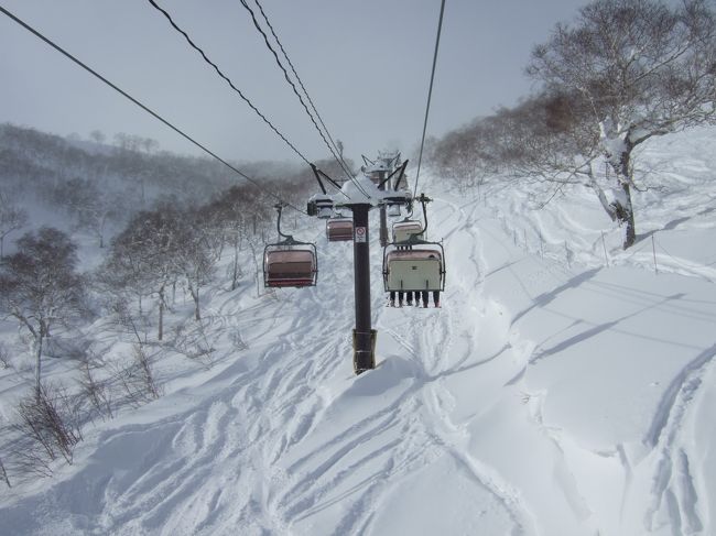 今年の2月連休は【雪祭りシーズン】<br />関西→札幌往復チケットはほぼ全滅・・・<br /><br />ということで初の1月ニセコ行きが決定。<br /><br />聞くところによると年末年始は全く降らず、コースオープンが出来ないほどだったらしいのですが、昨晩から急に降り出し、積もった高さは１００cmとか。<br />しかも今シーズン一番の雪質とキタ━━━━(ﾟ∀ﾟ)━━━━！！！！<br /><br />積もってる雪の量は２月に及ばずとも、２月には味わったことのない軽さなのです。<br /><br />最高の雪質もさることながら、今年もグルメは攻めたいところ。<br />昨年のお気に入り【Lumberjack】はなんと閉店・・・ガーン！<br />新しい店を探さねば。と意気込み、やや遠いものの見つけました！<br /><br />そして今回の旅行記、宿の写真を完全に忘れてしまいました(汗)<br /><br />お世話になったお宿→【プチハウス５０５】<br />アットホームでとっても居心地がいいお宿です♪<br />オーナーの計らいで、フィンランドからの常連さんと飲み会に。<br /><br />来年も会えたらいいなぁ！