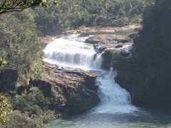 新婚旅行記・４　「ジャングルを歩く」