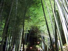 黒川温泉・・・の隣の白川温泉『竹ふえ』