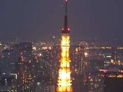 お役目ご苦労様でした。　六本木ヒルズから東京タワーを上から見てみる。