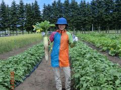 ◆初夏の北海道満喫ドライブ旅行◆その１：北広島「くるるの杜」で大根収穫体験！