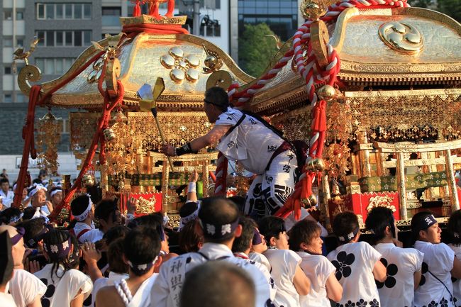 天神祭は、京都の祇園祭、東京の神田祭と並ぶ日本三大祭の一つ。<br />また、四天王寺別院の勝鬘院愛染堂の愛染祭(神式では愛染祭に替えて生国魂神社の生玉夏祭)、住吉大社の住吉祭と共に大阪三大夏祭りの一つでもあります。<br /><br />24日宵宮、25日本宮<br />