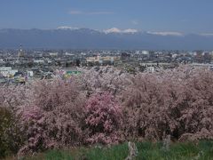 信州・松本平周辺の桜の写真を集めてみました♪　その①