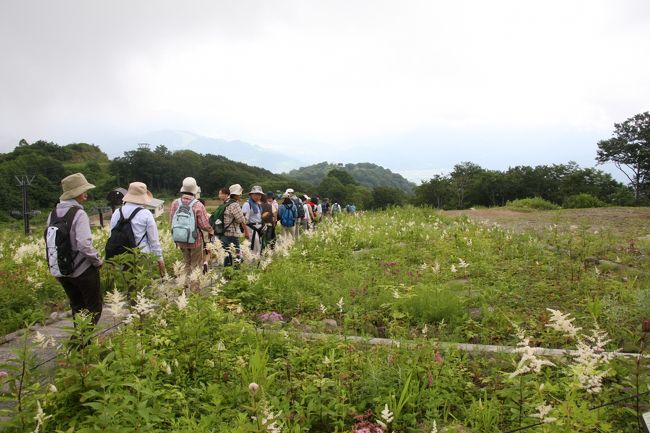 ２０１１夏の花旅：（その２）白馬五竜高山植物園