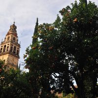 アンダルシアはオレンジの季節、コルドバ