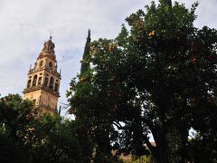 アンダルシアはオレンジの季節、コルドバ