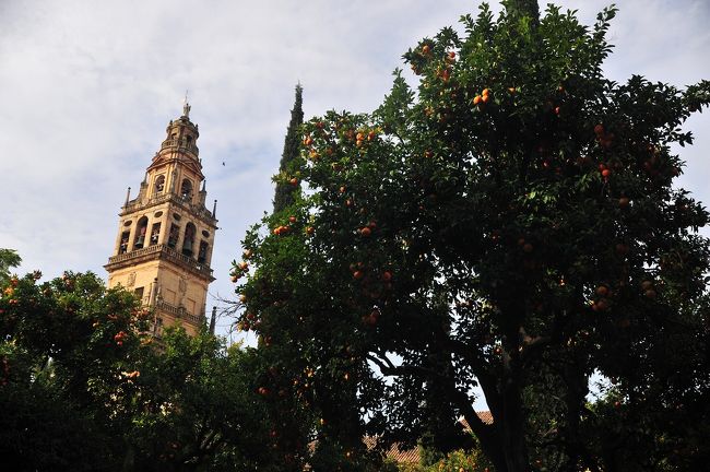 町のあちこちの木に、オレンジがたわわに実っている。<br />スペイン南部、アンダルシア地方。<br />本日は、コルドバで宿泊<br /><br />見どころは、メスキータ（モスク）、アルカサル、ローマ橋。<br />ほかにもオレンジのパティオ、ユダヤ人街<br />コンパクトにまとまっているので、便利。<br /><br />アンダルシア地方の料理も楽しみ。