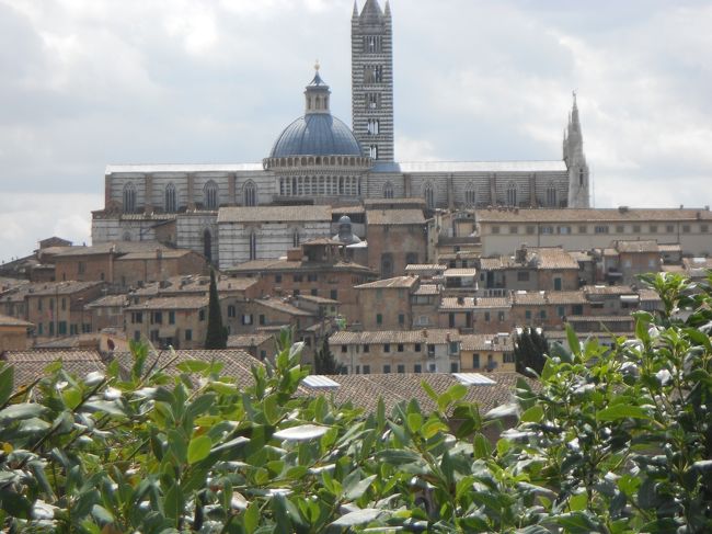 110715-23　退職記念に家内と二人でイタリア周遊旅行に行ってきました。回った先は、ローマ、シエナ、サンジミニャーノ、フィレンツェ、ピサ、ベネチア、ベローナ、ミラノと見どころ一杯のイタリアの諸都市。それぞれ最低1時間半から3時間近く歩き回り、世界遺産の素晴らしさを堪能できました。<br /><br />７月１６日から１７日の２日間、ローマを堪能した後、７月１８日にはバスでシエナに向かいました。７時４５分にローマを出てシエナについたのは１１時半ごろ。人気のある町だけあって世界中からの観光客でにぎわっていました。シエナ市街を遠景に絶景ポイントで写真を撮ってから旧市街を歩いて回りました。街は17のコントラーダとよばれる地区に分かれており、年に2回行われるパーリオ (Palio) と呼ばれる裸馬のレースに参加できる権利を有しているそうですが、そのレースが７月始めに終わったばかりだそうで、優勝した地区に優勝を祝う旗が町中に掲げられていました。<br /><br />旧市街は中世そのままの佇まいで趣があり、一度来るとまた来たくなるような素敵な街並みです。町の中心地のカンポ広場を中心に3つの通りが放射線状に広がっていてわかりやすい構造になっています。一通り歩いた後、中心地のホテルの地下にあるレストランでラザニアとカジキマグロを食べました。ほんの数時間の滞在でしたが、思い出に残る町でした。<br /><br />次に向かったのはサンジミニャーノ。トスカーナの美しい景色の中に忽然と現れる10あまりの塔をもつ小さな町。それらの塔は都市内での権力争いの名残りであり、最も力と富を持つ者が最も高い塔を建てたという。また、中世に自治都市として最も繁栄していた時代には、塔を壊すときには新しい塔を建てなければならない法律が整備されていたこともあった。最も多いときには70を超える塔が建っていたが、多くは取り壊され、現在残っているのは14のみとのこと。城壁に囲まれた町の中に入るとここも中世そのものの風情。いくつものお土産屋、イノシシ肉のお店、バールやリストランテもあって観光気分は盛り上がります。そして最後に市の高台から見渡すトスカーナの畑や街並みに癒されました。<br /><br />イタリアの小都市は見どころがいっぱいですね。<br /><br />この日は夕方にフィレンツェに到着。翌日のピサ、フィレンツェ観光に備えました。<br /><br />