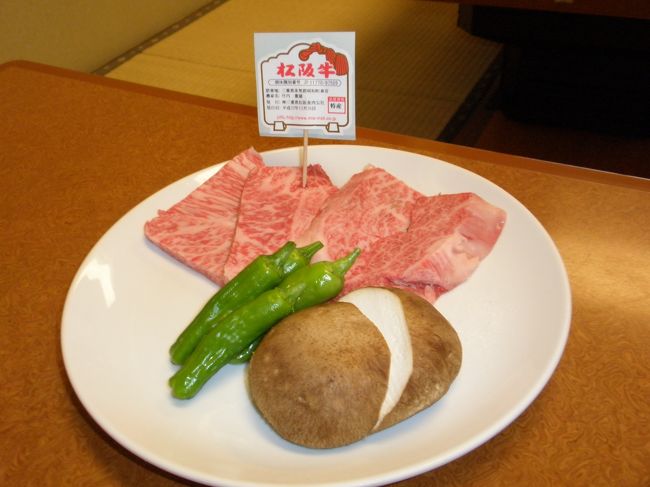 日本百名城が目当てなのか、松阪牛が目当てなのか・・迷う所ですが。。。<br /><br />松阪牛が食べたくて、松阪に行ってきました<br />お目当てのお店は行列だったので<br />違うお店でしたが、最上級の「特産」のお肉食べてきました<br /><br />日本百名城の松阪城跡にも寄ってきました