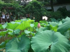 激安! 江南地方５日間　蘇州編　(3日目)