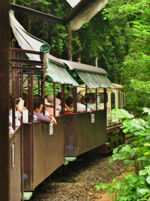 絵葉書134■長野■小木曽森林鉄道 他 6枚 ★戦前/蒸気機関車/他