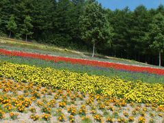 車椅子(バギー）の子どもと行く北海道