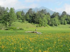 ニッコウキスゲ群生の尾瀬沼(沼山峠～大江湿原～沼尻～沼山峠）