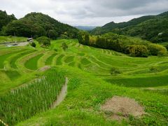 みどりの大山千枚田