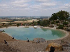 イングランド　～ロンドン近郊 Bedfordshire  日曜日はZSL Whipsnade Zooで・・・・