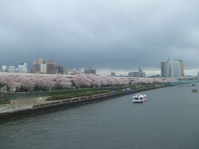 2011年も桜が東京で咲きました。そんなわけでカメラ片手にブラブラとお花見を楽しんでみました。<br />今回は浅草駅からスタート、桜橋で折り返してきたウォークとなりました。