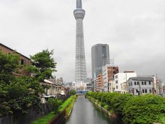 隅田川水上バスとスカイツリー