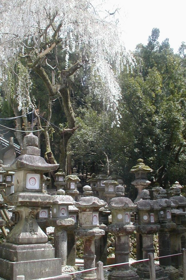 古都奈良の世界遺産、春日大社紹介の続きです。