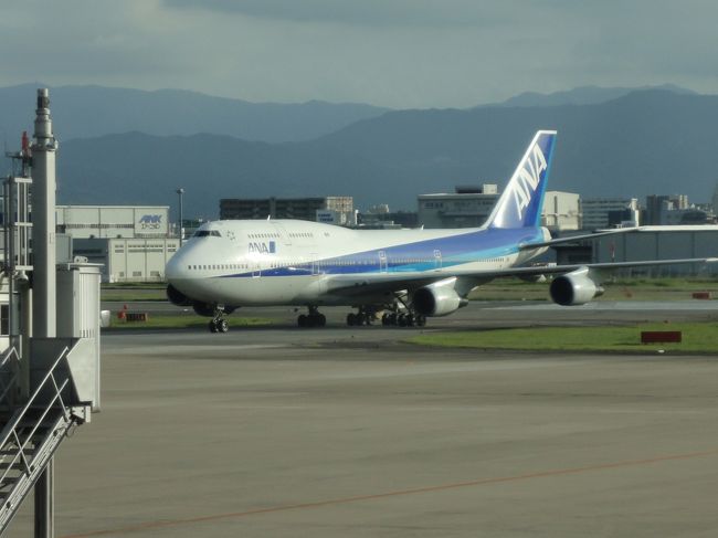 今週も福岡経由で熊本出張。夏休みのセントレアは家族れで混み合っています。もう少しで、乗り遅れるそうに・・・。福岡到着後、ランチは3週連続で「天ぷらのひらお」へ。帰りの福岡空港で飛行機の写真を撮りました。