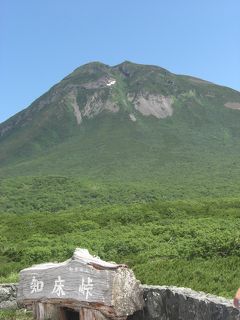 知床旅情