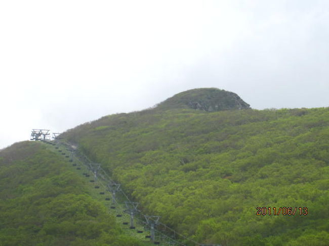 仮に岩木山のリフトが運行されていたとしても、今日のこの足の状態では、９合目までは行けたとしても、その先のごつごつした岩だらけの山道を登るのは無理だったに違いない。又漸く登れたとしてもとしても、下るのに難儀をし、立ち往生したに違いない。だから今日は、９合目途中まで行って引き返したのは正解だった。<br /><br />山頂の方から人の声が聞こえたので、当方の仲間かと思い、急いで下山を開始したが、急いで、と言っても両股では歩けず、膝を曲げられないので、一歩一歩横歩きで下って来たが、その内、その声の主に追い抜かれる。仲間かと思っていたら、彼等は別の学生のグループで、５−６人、組になって駆け足のように下り降りて行く。元気の良いところ、山岳部の学生に違いない。<br /><br />彼等が下り降りと、又、山の静寂が戻ってきた。山道のここかしこに咲いている山の花を見、写真に撮り、時々雲が晴れて前方の山が見え、又何時か来るかも知れないこの山の景色を目に収めて置く。と、又下の方から人の声がして、その声が段々大きくなり、かなりのグループと思われる。すれ違いざま見ると、小学生のようだ。最後の先生らしきリーダーに聞くと、弘前の麓の小学校から来ているとのこと。総勢４０−５０人程の団体か。<br /><br /><br />又下の駐車場から生活音が聞こえてきて、漸く８合目駐車場に戻りつくことができた。仲間はまだ山中、今下っている最中だ。樹林の間に人影も見える。当方、今回は頂上まで行けなかったが、この１２００ｍの駐車場から四周を眺めているだけでも気持ち良い。自然の雄大さ、人間の卑小さ、なにものにも代えがたい自然の美しさを感じる。３日間、良い山歩きが出来た。<br /><br /><br />