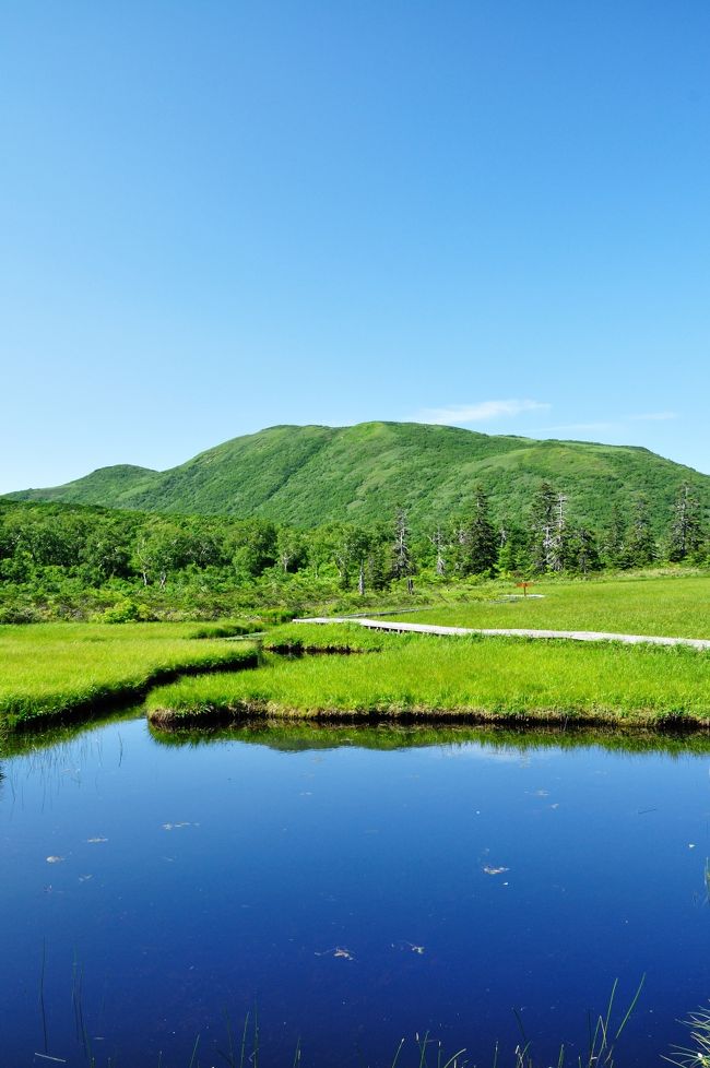 ２０１１年夏　今年も行ってきました北海道～ニセコ編～