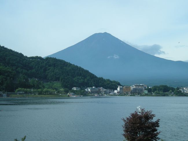 夏の富士山を見に河口湖へ！<br />とりあえず河口湖周辺を観光して、<br />湖畔の旅館に１泊。<br />登山はしないけど、帰りは五合目まで行って<br />富士山を満喫した楽しい旅でした。<br /><br />時期：７月下旬の１泊２日<br />宿泊：冨士吟景<br /><br />【ホテルお勧め度　★★★★☆】　コストパフォーマンス良し