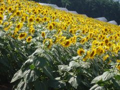 長野県*佐久*