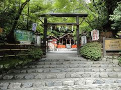 見慣れた景色で恐縮ですが夏の朝の嵯峨野の写真です