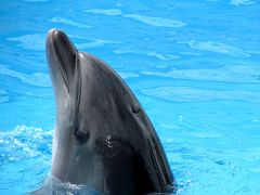 夜行急行「きたぐに」の夜 ＆ 上越市立水族博物館