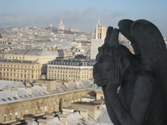2007年12月　パリ　6泊8日　Part4（ノートルダム寺院等　高所からの眺望）