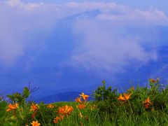 東北日本海沿岸・2011夏（その４／５）★月山・弥陀ヶ原の高山植物と出羽三社を歩く