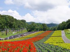 ﾗﾍﾞﾝﾀﾞｰの香りに包まれて