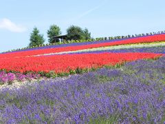 マイレージで夏の北海道へ＾＾～美瑛～