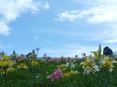 西日本最大級のゆり園へ♪【ダイナランドゆり園】