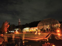 ２０１１ 東山動植物園ナイトＺＯＯ